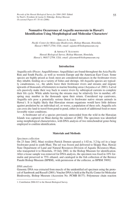 Nonnative Occurrence of Anguilla Marmorata in Hawai‘I: Identification Using Morphological and Molecular Characters1