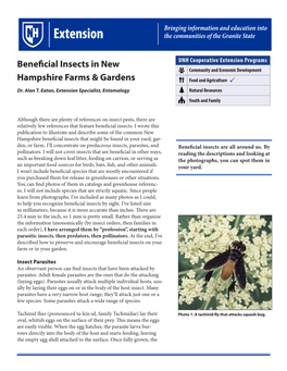 Beneficial Insects in New Hampshire Farms & Gardens