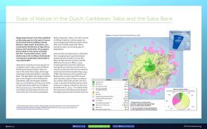 State of Nature in the Dutch Caribbean: Saba and the Saba Bank
