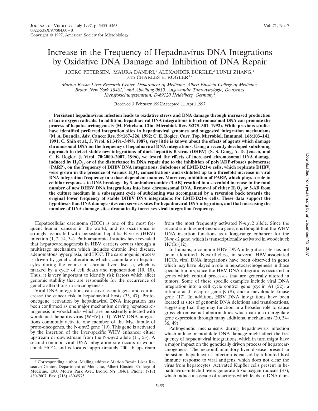 Increase in the Frequency of Hepadnavirus DNA Integrations By