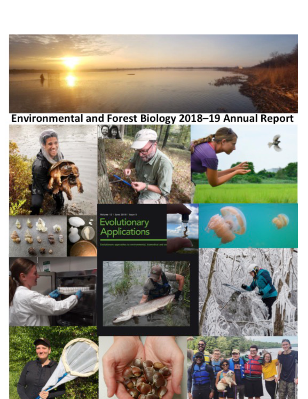 Department of Environmental & Forest Biology Annual Report