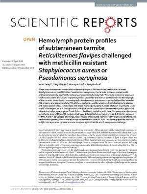 Hemolymph Protein Profiles of Subterranean Termite Reticulitermes
