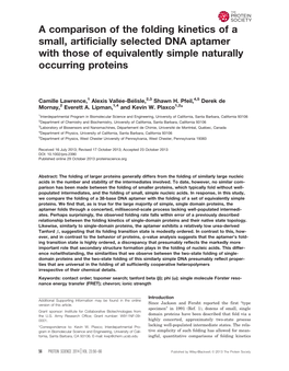 A Comparison of the Folding Kinetics of a Small, Artificially Selected DNA Aptamer with Those of Equivalently Simple Naturally Occurring Proteins
