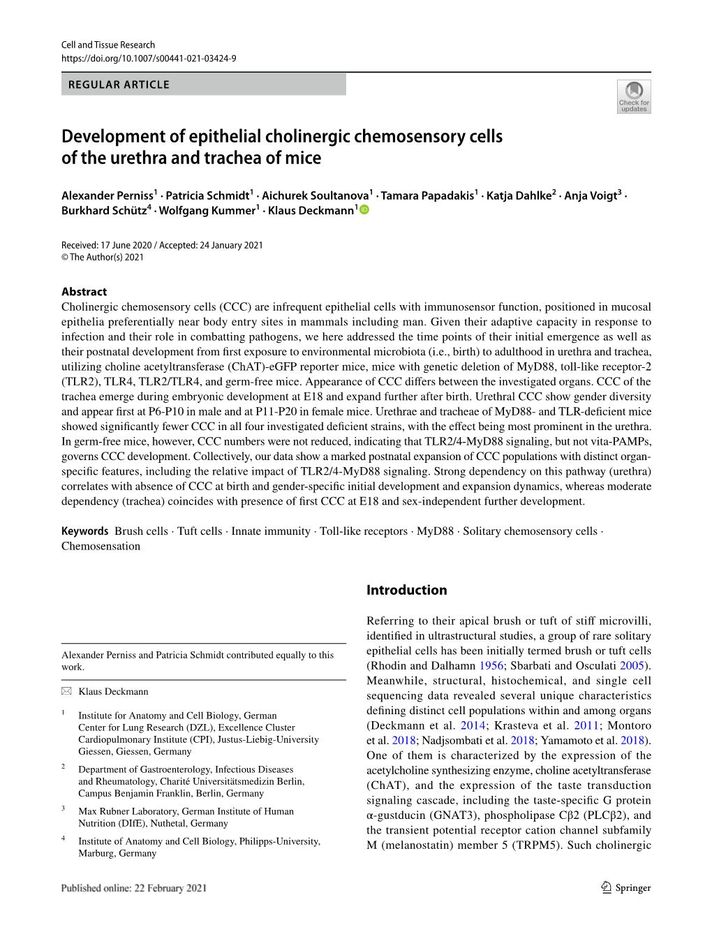 Development of Epithelial Cholinergic Chemosensory Cells of the Urethra and Trachea of Mice