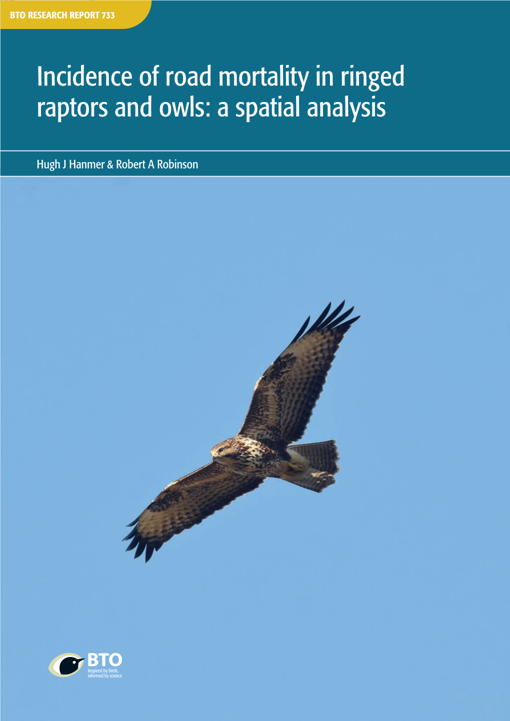 Incidence of Road Mortality in Ringed Raptors and Owls: a Spatial Analysis