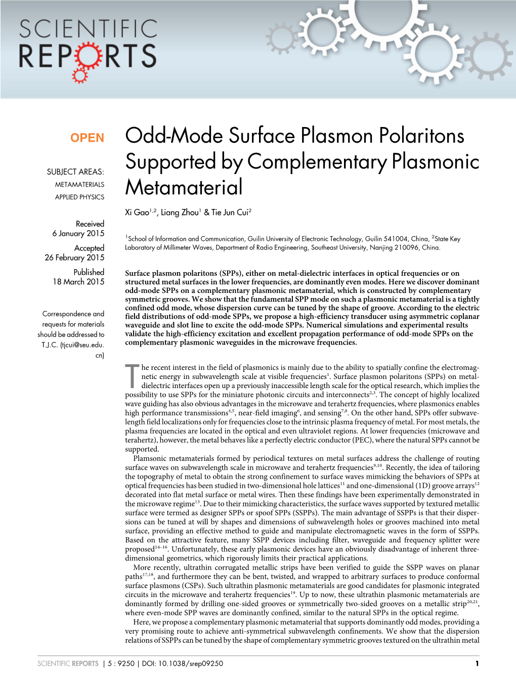 Odd-Mode Surface Plasmon Polaritons Supported By