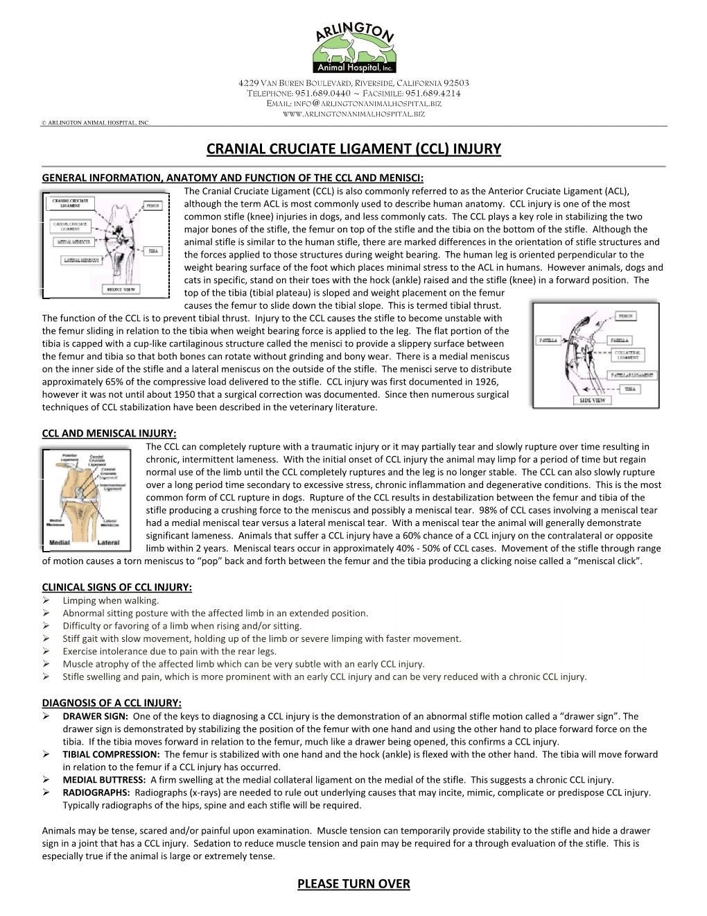 CCL INJURY HANDOUT.Pdf