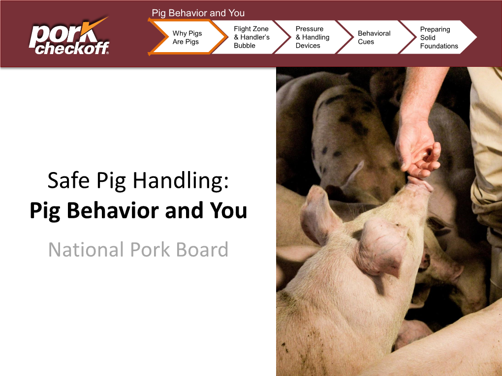 Safe Pig Handling: Pig Behavior and You National Pork Board Pig Behavior and You