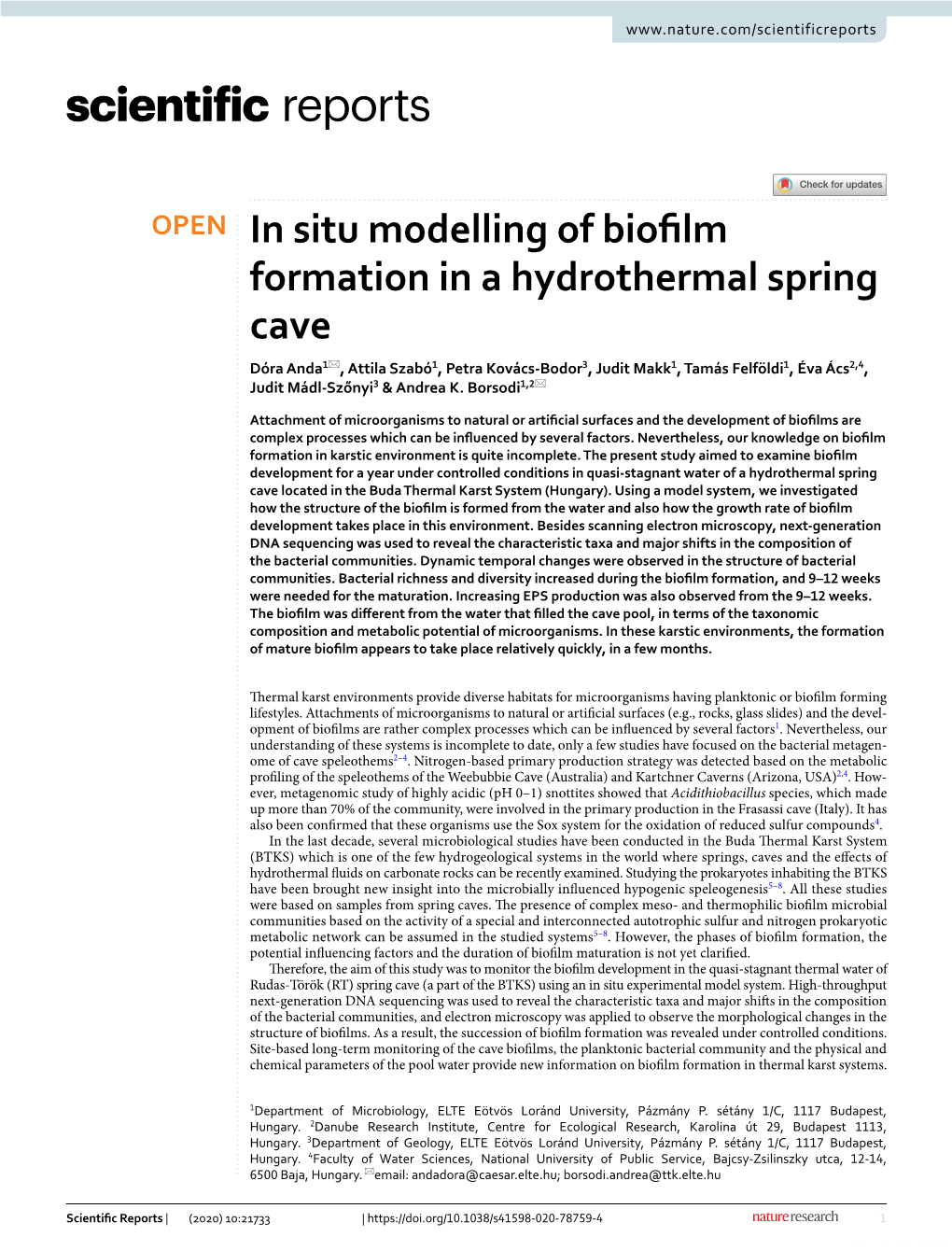 In Situ Modelling of Biofilm Formation in a Hydrothermal Spring Cave