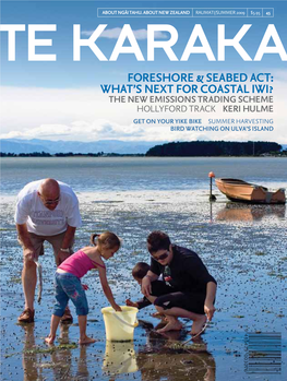 Foreshore & Seabed Act: What's Next for Coastal IWI?
