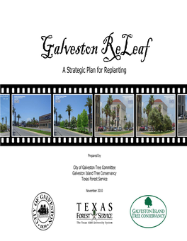 City of Galveston Tree Planting Strategic Plan