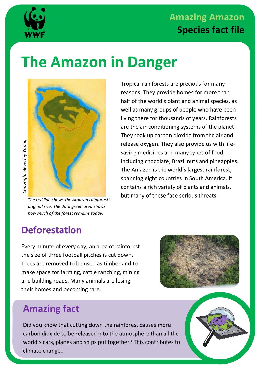 Fact-File, 'The Amazon