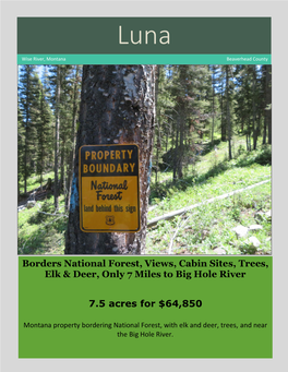 Borders National Forest, Views, Cabin Sites, Trees, Elk & Deer, Only 7 Miles to Big Hole River 7.5 Acres for $64,850