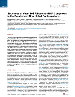 Structures of Yeast 80S Ribosome-Trna Complexes in the Rotated and Nonrotated Conformations