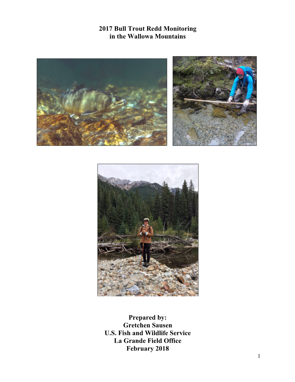 2017 Bull Trout Redd Monitoring in the Wallowa Mountains Prepared By