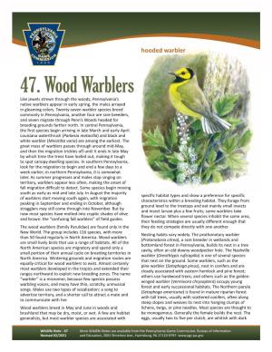 Wood Warblers Wildlife Note