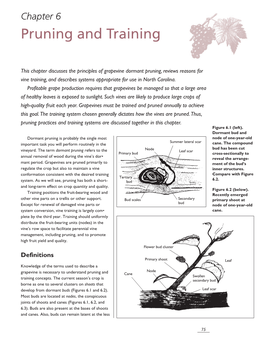 North Carolina Grape Grower's Guide