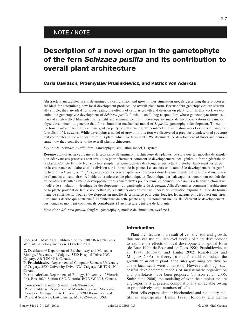 Description of a Novel Organ in the Gametophyte of the Fern Schizaea Pusilla and Its Contribution to Overall Plant Architecture