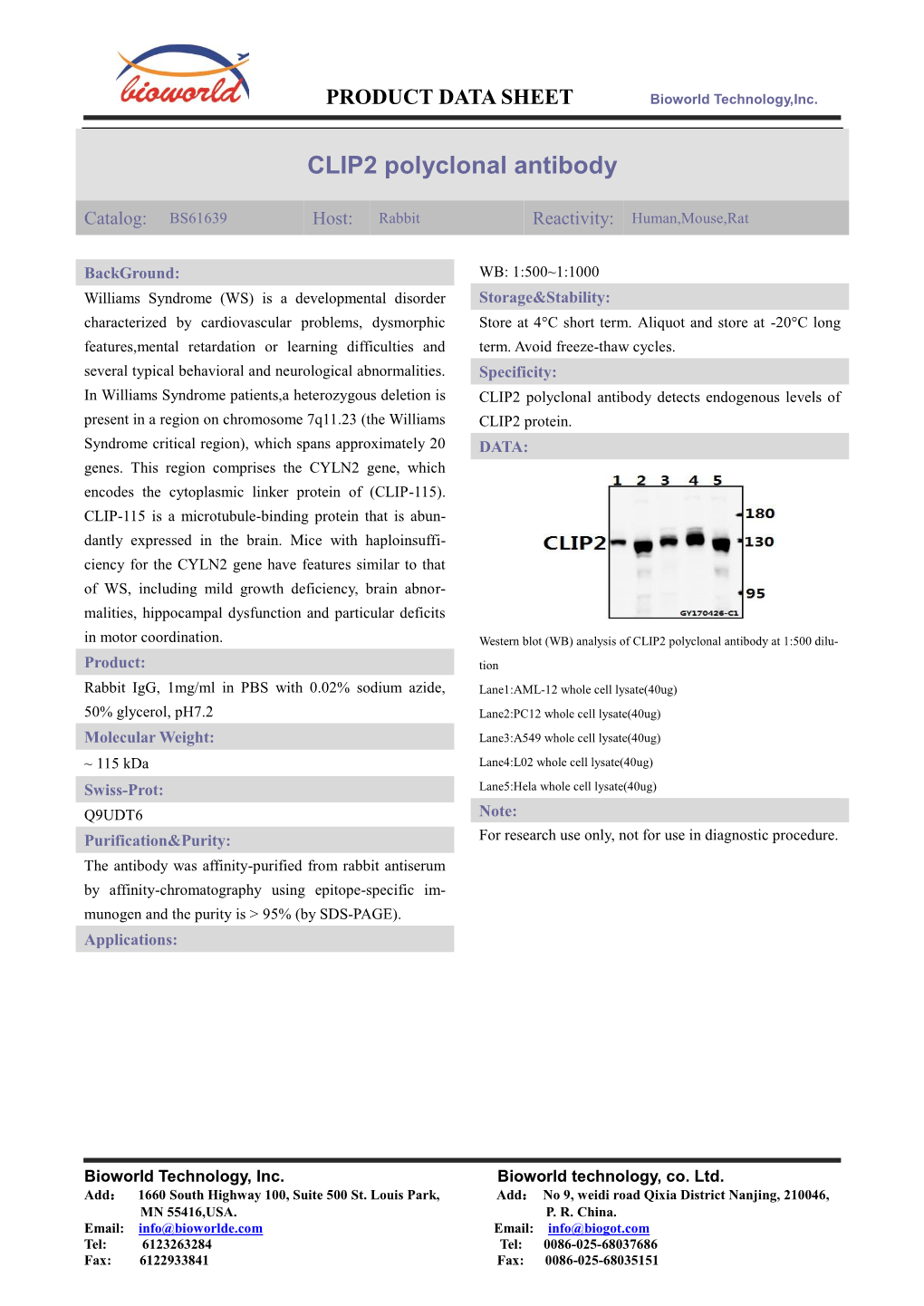 CLIP2 Polyclonal Antibody