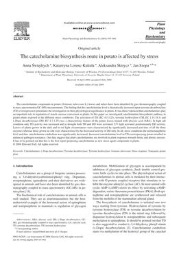 The Catecholamine Biosynthesis Route in Potato Is Affected by Stress