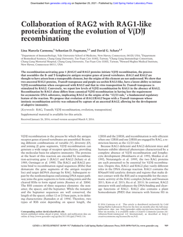 Collaboration of RAG2 with RAG1-Like Proteins During the Evolution of V(D)J Recombination