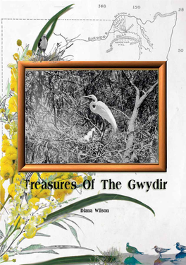 "Treasures of the Gwydir" by Diana Wilson