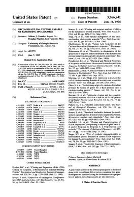 United States Patent 19 11 Patent Number: 5,766,941 Cormier Et Al