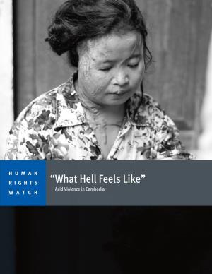 “What Hell Feels Like” Acid Violence in Cambodia WATCH