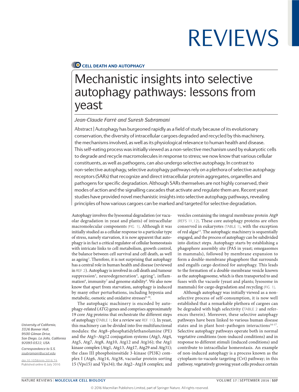 Mechanistic Insights Into Selective Autophagy Pathways: Lessons from Yeast