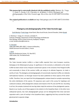 Phylogeny and Phylogeography of the Tuber Brumale Aggr. Mycorrhiza