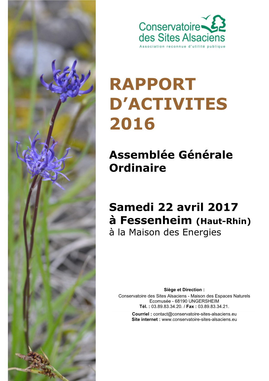 Rapport D'activites 2016