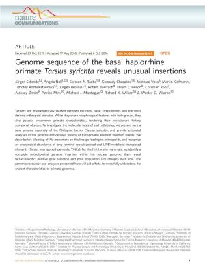 Genome Sequence of the Basal Haplorrhine Primate Tarsius Syrichta Reveals Unusual Insertions
