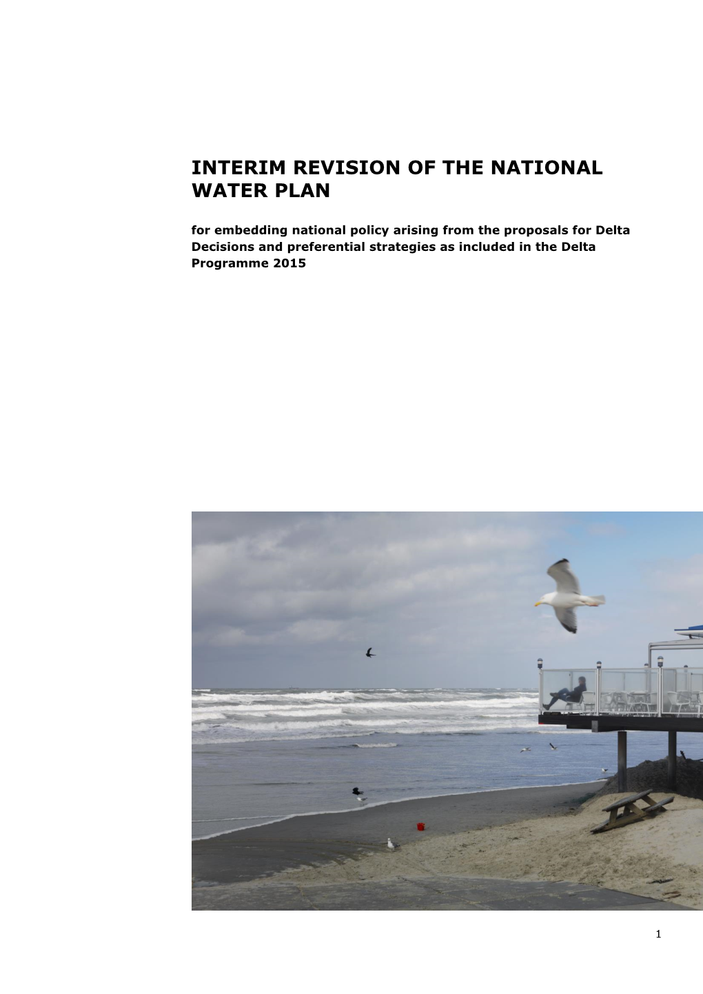 Interim Revision of the National Water Plan 2009-2015