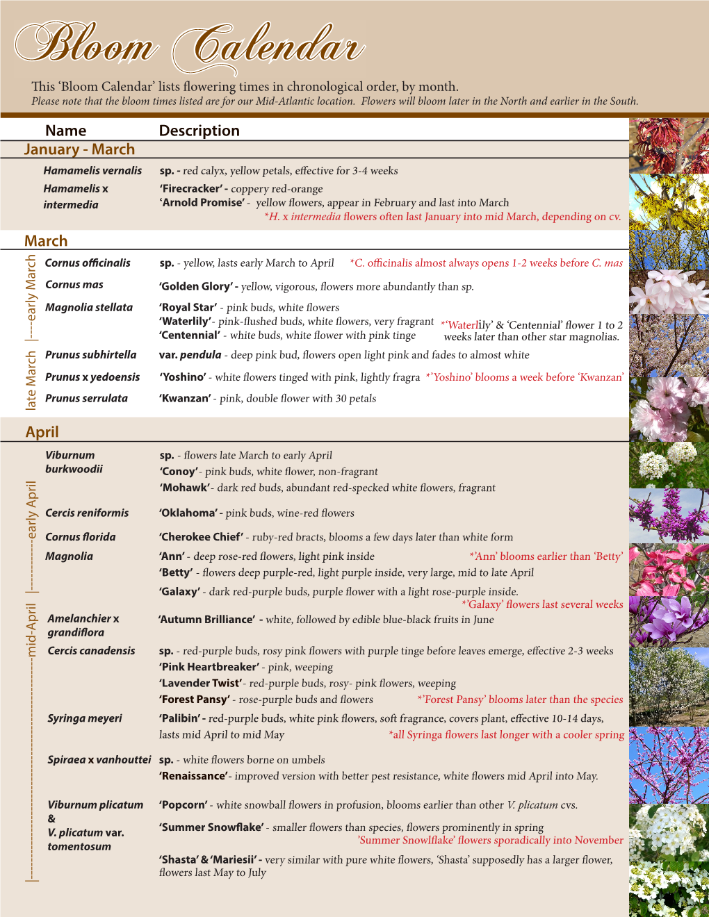 Bloom Calendar This ‘Bloom Calendar’ Lists Flowering Times in Chronological Order, by Month