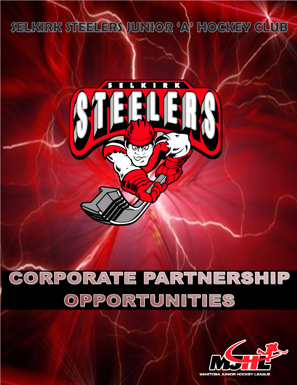 Steelers Partnership Brochure