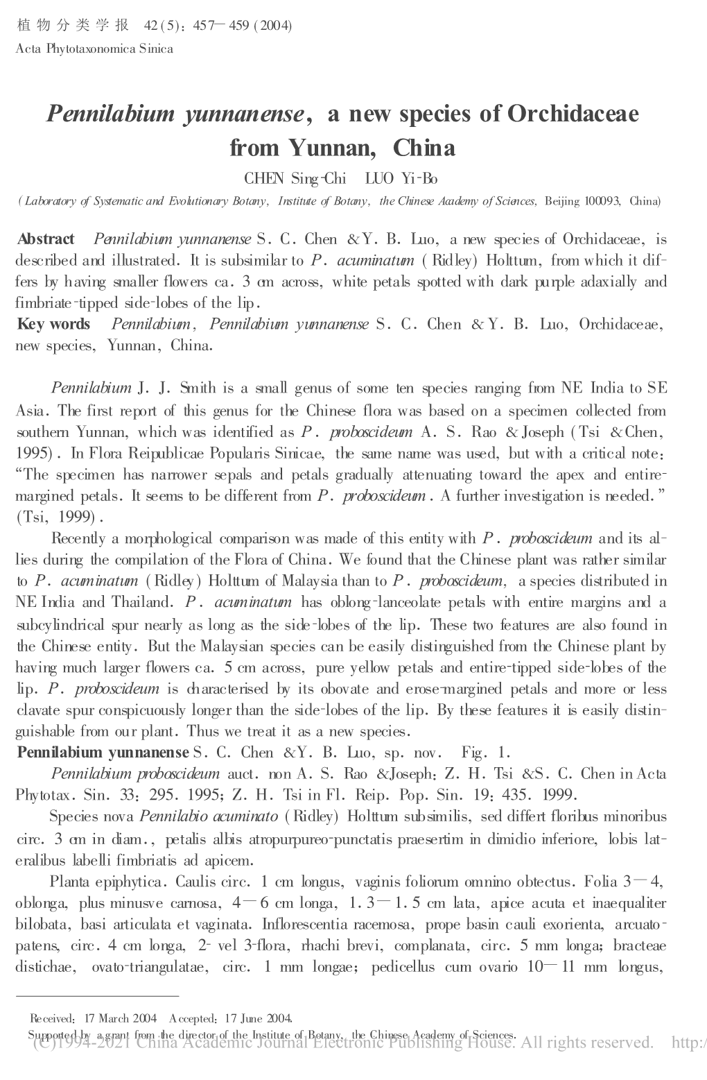 Pennilabium Yunnanense, a New Species of Orchidaceae