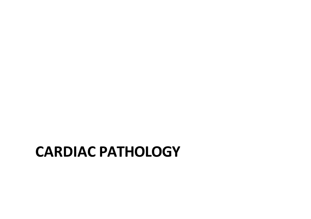 Chest X-Ray Lecturer-2