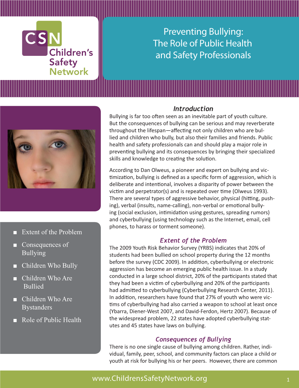 Preventing Bullying: the Role of Public Health and Safety Professionals