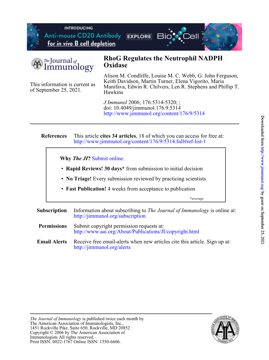 Oxidase Rhog Regulates the Neutrophil NADPH