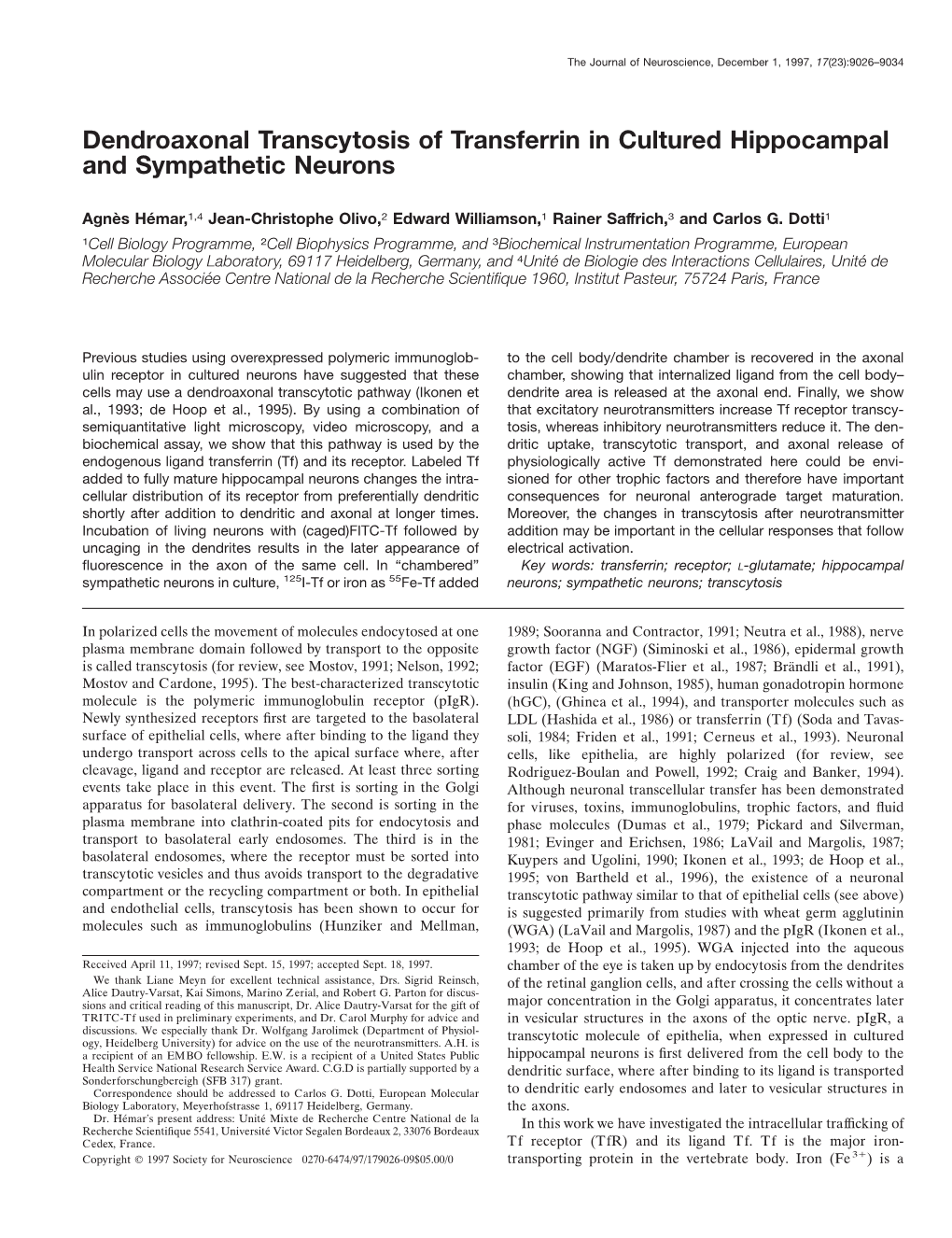 Dendroaxonal Transcytosis of Transferrin in Cultured Hippocampal and Sympathetic Neurons