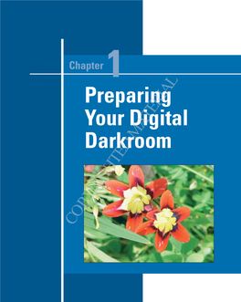Preparing Your Digital Darkroom