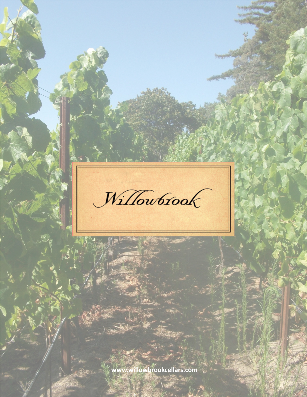 Willowbrook 2014 Carneros Chardonnay Displays Complex Aromas of Pineapple, Honey and Subtle Alcohol Vanilla