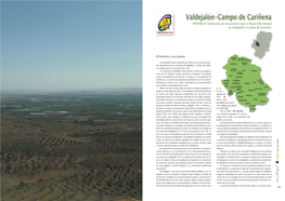 Valdejalón-Campo De Cariñena