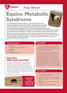 Equine Metabolic Syndrome