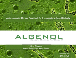 Anthropogenic CO2 As a Feedstock for Cyanobacteria-Based Biofuels