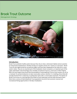 Brook Trout Outcome Management Strategy