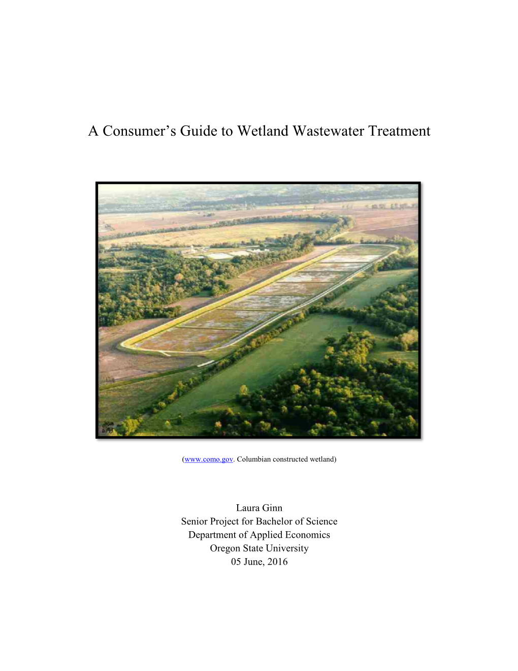 A Consumer's Guide to Wetland Wastewater Treatment