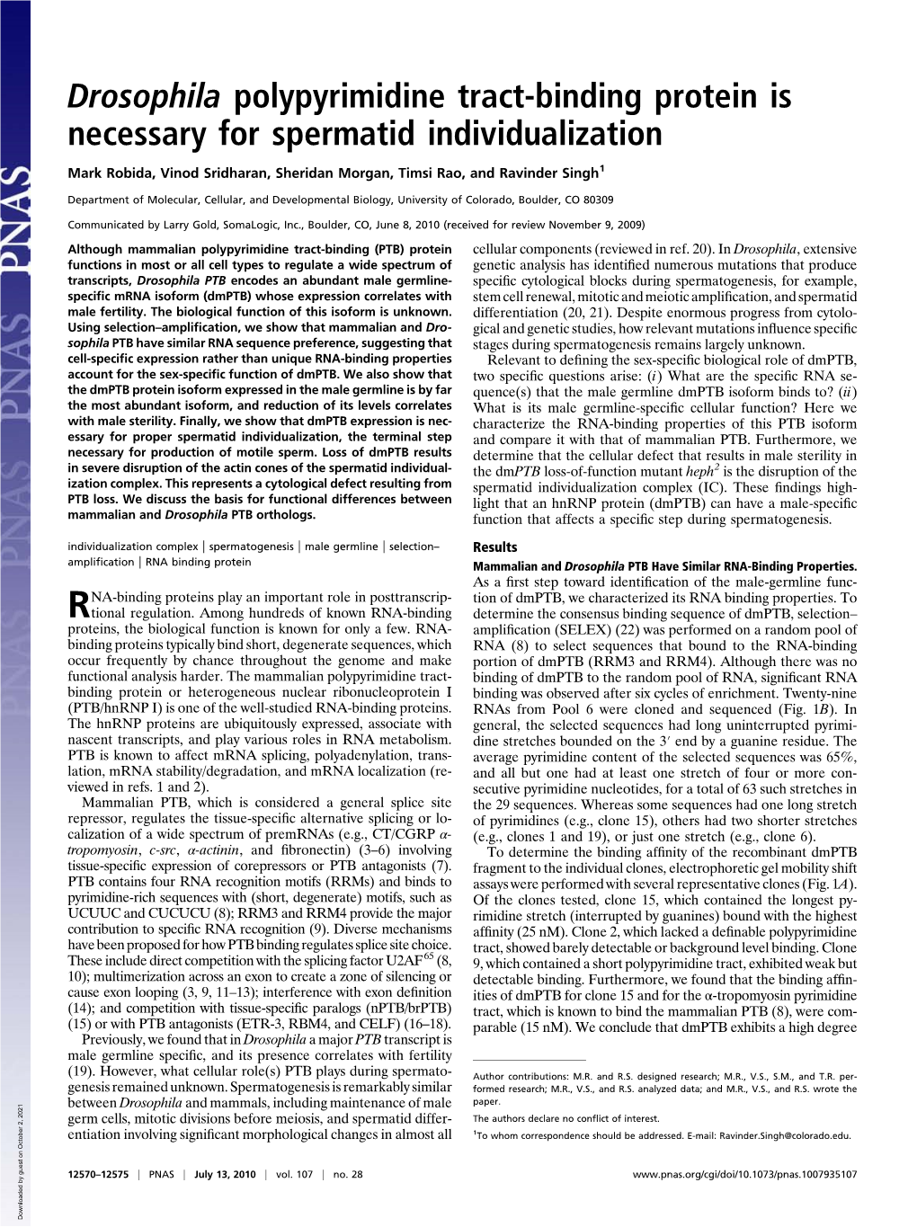 Drosophila Polypyrimidine Tract-Binding Protein Is Necessary for Spermatid Individualization