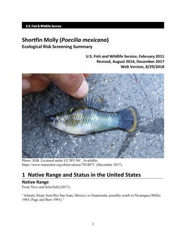 Shortfin Molly (Poecilia Mexicana) Ecological Risk Screening Summary