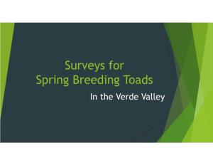 Survey for Spring Breeding Arizona Toads